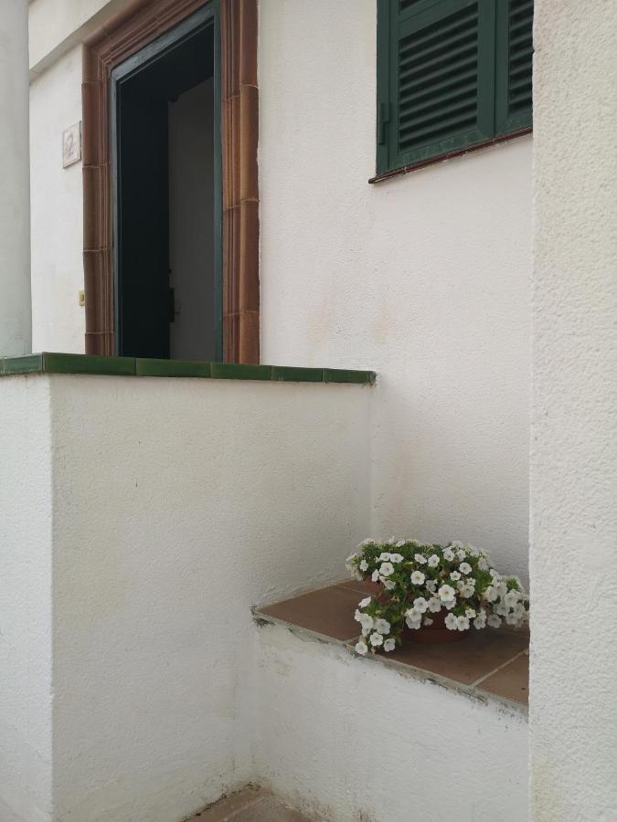 Toni'S Apartament Menorca Cala en Bosch Dış mekan fotoğraf